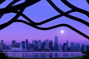 世界举重公开赛裁判评分透明度年度监测报告发布，世界举重比赛规则